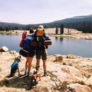 Meet your Posher, Whitney